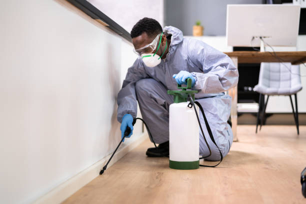 Professional Pest Control in Merrydale, LA